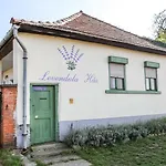 Görbe Apartamento *